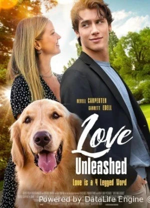 В поисках любви